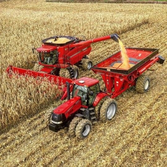 Maize Sheller Electric [Sample]
